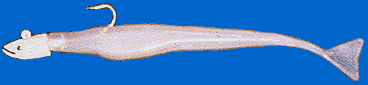 Giant Sand Eels